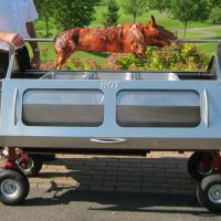 Two Lakes Catering, Pig roasting done the right way